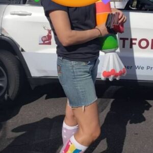 Joe's Jeans Rocker Jean shorts